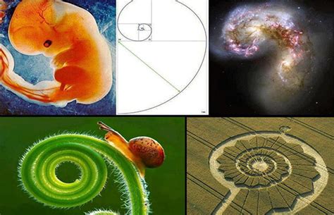 Fibonacci sequence formula golden ratio - rdHop