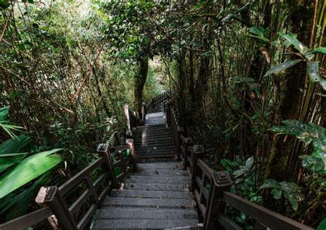 5 Best Cameron Highlands Attractions Waiting For You To Uncover - V6 ...