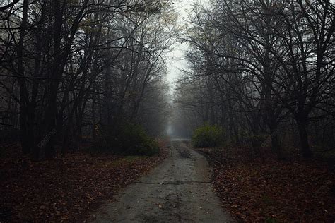 Dark Abandoned Road In The Forest Automobile Desolate Nature Photo Background And Picture For ...