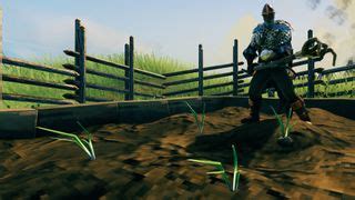 Valheim onion seeds guide: Where to find them | PC Gamer