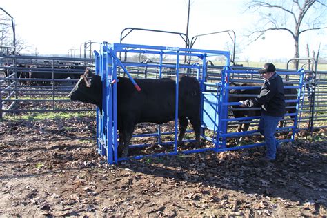 Pin on Cattle Equipment