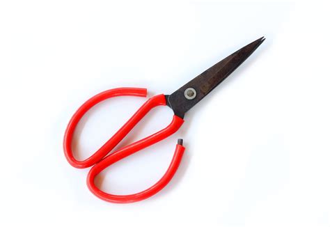 Uses For Garden Scissors: Types Of Scissors For The Garden And How To ...