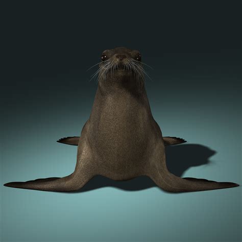 3d model california sea lion fur