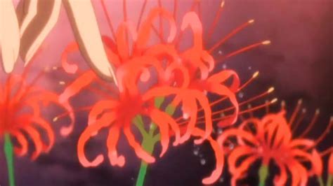 The Meaning of the Red Spider Lily in Anime, Explained (With 7 Examples ...