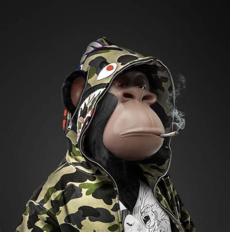 Cartoon Monkey Nft ~ Nft Wallpapers On Wallpaperdog | Bodydawasuws