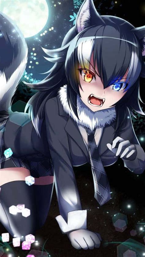 [100+] Cute Anime Wolf Girl Wallpapers | Wallpapers.com