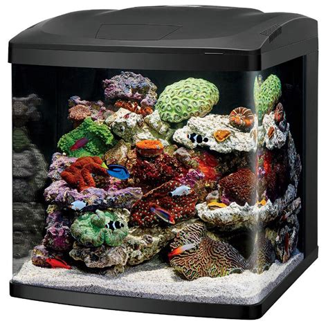 Coralife 32 Gallon LED BioCube Saltwater Aquarium Kit — Blue Fish ...