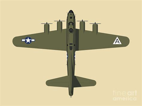 B-17 WWII Bomber - Olive Digital Art by Organic Synthesis - Fine Art ...