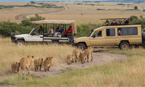 Tanzania safari tour | Wildlife Safaris Tanzania | Tanzania Wildlife Tours