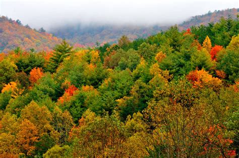 Smoky Mountains Fall Foliage