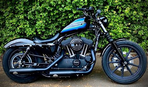 Harley Davidson Iron 1200 Custom | Sportster iron, Harley davidson, Custom sportster