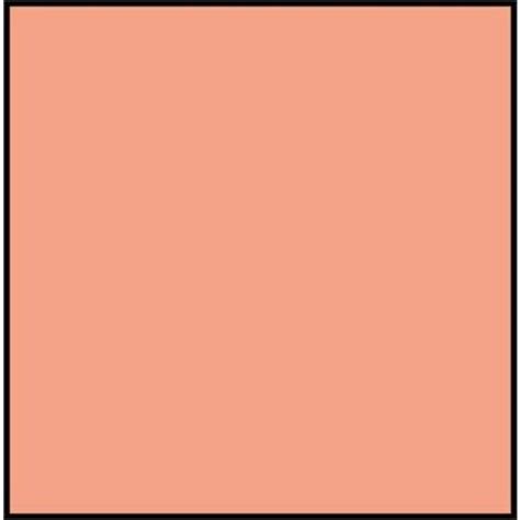 Salmon Color Paint - Paint Color Ideas