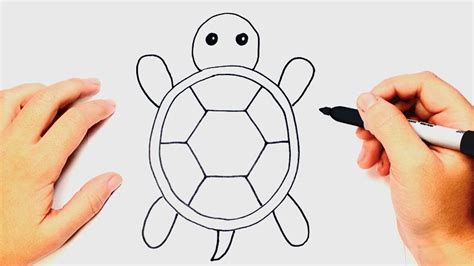 How To Draw A Tortoise Step By Step at Drawing Tutorials