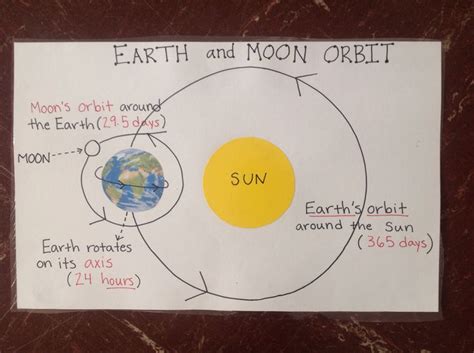 Earth and moon orbit anchor chart. … | Earth science, Science classroom, Science anchor charts