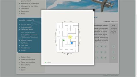 Mollymawk | Spatial Orentation Test 1 | - YouTube