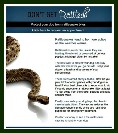 Eastern Diamondback Rattlesnake Bite