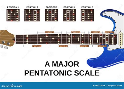 A major pentatonic scale stock vector. Illustration of fingerboard ...