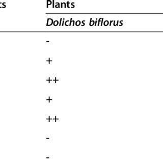 Phytochemical analysis of Dolichos biflorus seeds and Crataeva nurvala... | Download Scientific ...