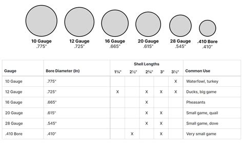 Shotgun Gauge Size Chart | Sportsman's Warehouse