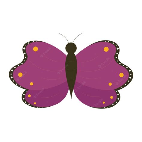 Premium Vector | Butterfly vector isolated on white background. butterfly vector.