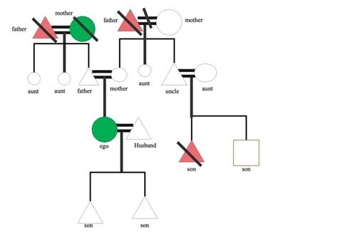 Kinship Diagram Three Generations Kinship Diagram Class