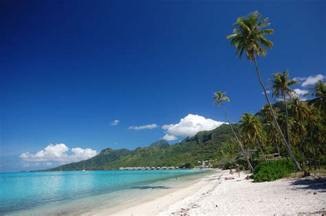 Moorea Beaches: Discover the Top 5 Beaches in Moorea