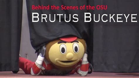 Brutus Buckeye Photos