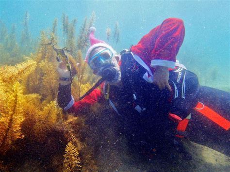 PADI Divemaster Course - BayPlay Experiences & Group Activities