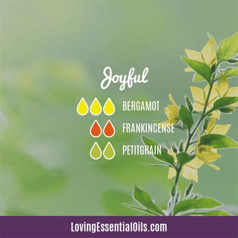 Bergamot Diffuser Blends - Relax and Uplift Your Senses! – Loving Essential Oils