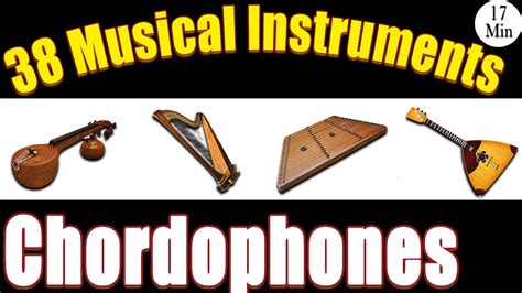 Chordophones: 38 Musical Instruments with Pictures & Video ...