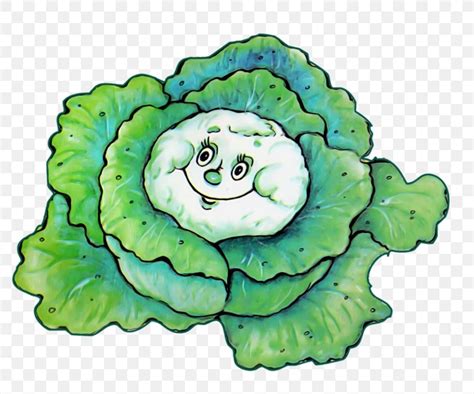 Cabbage Drawing Leaf Vegetable Clip Art, PNG, 800x683px, Cabbage, Brassica Oleracea, Cartoon ...