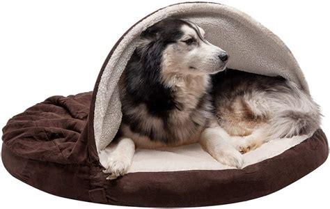 The Best Canopy Dog Beds for Style and Comfort - PuppyLists