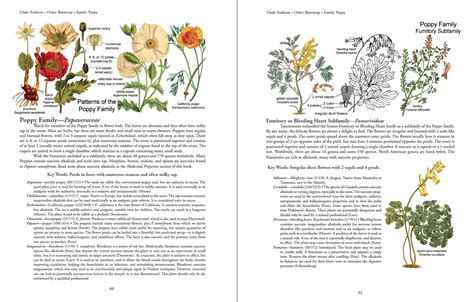 Botany in a Day (APG): The Patterns Method of Plant Identification ...