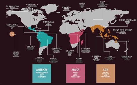 What Is The Coffee Bean Belt? All You Need To Know About Where Coffee Plants Grow ...