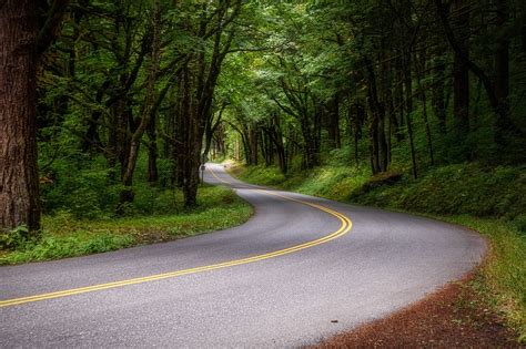 Pacific Northwest Road Trip: Unveiling the Natural Wonders - Tourist Zaad