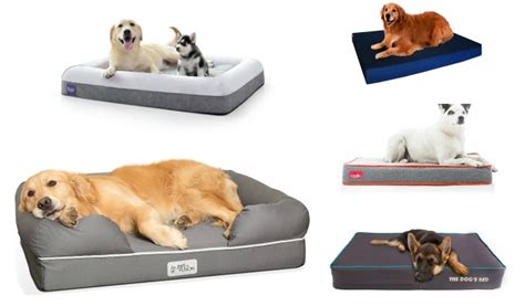 8 Best Outdoor Waterproof Dog Beds - DogVills