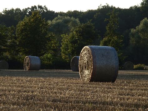 Straw Bales Harvest Field - Free photo on Pixabay - Pixabay