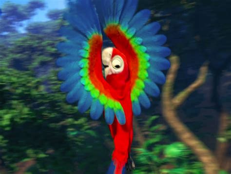 Red-and-green Macaw - Rio Wiki