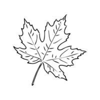 Maple Leaf Outline Clip Art