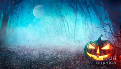 Halloween Spooky Forest Photograph by Mythja Photography - Pixels