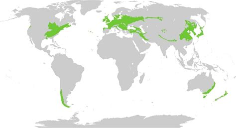 Deciduous Forest (Biome): Location, Climate, Animals and Plants