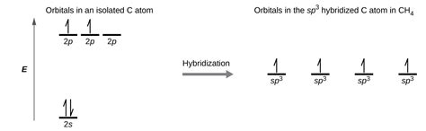 7.5 Hybrid Atomic Orbitals – Chemistry Fundamentals