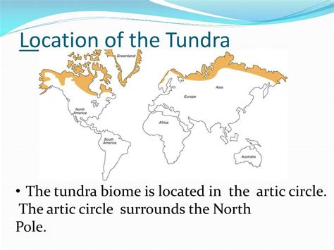 PPT - Tundra PowerPoint Presentation, free download - ID:2600384