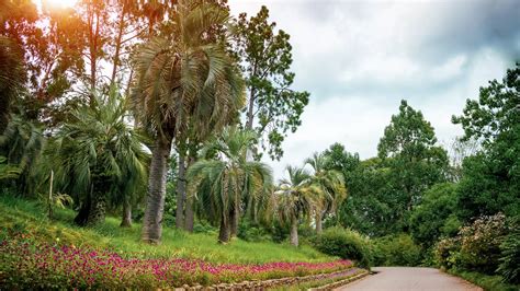 Batumi Botanical Garden | Georgia Travel