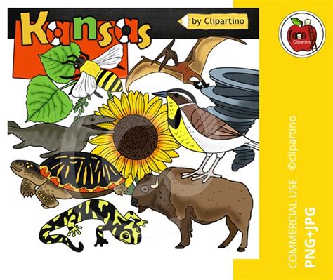 Kansas clip art-Kansas state symbols clipart-Kansas map | Etsy