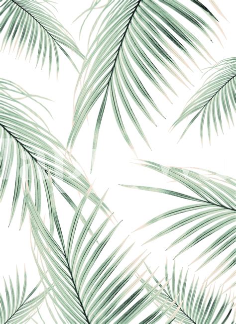 Green Palm Leaves Dream 3B Wallpaper | Happywall