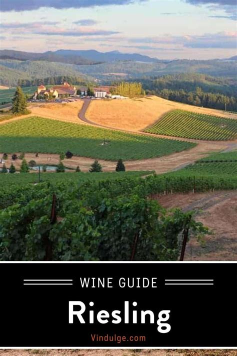 Riesling Wine Guide - Vindulge