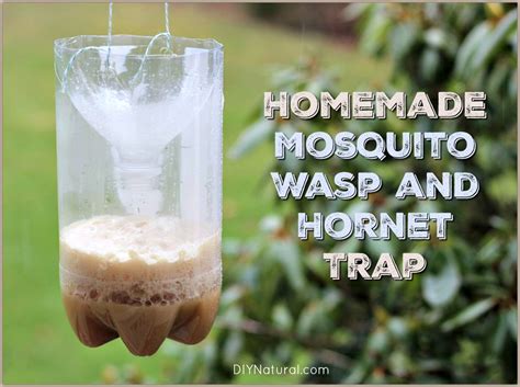 Homemade Mosquito Traps and Homemade Wasp Traps