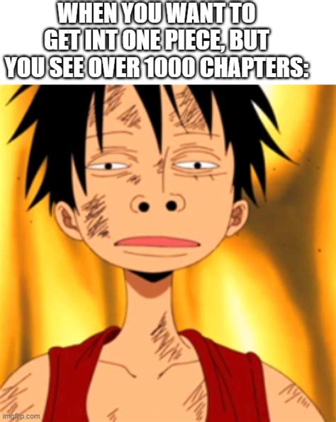 One Piece Luffy Meme One Piece Meme One Piece Luffy One Piece Meme | Images and Photos finder