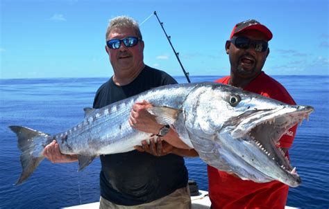 Barracuda - Rod Fishing club